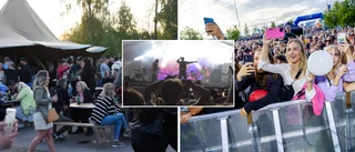 Hjälp – det kommer bli den svagaste sommaren någonsin