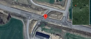Rådjur på fel sida av viltstängslet på väg 34