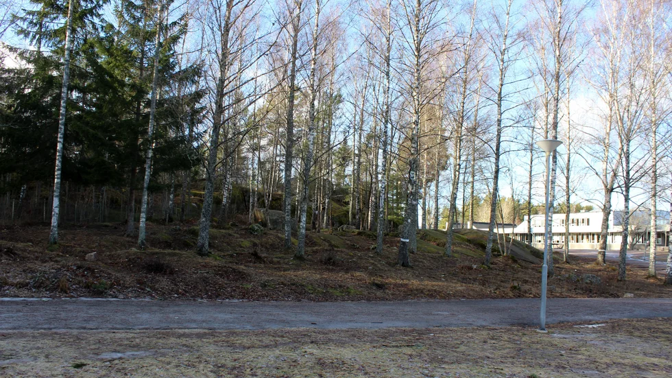 Exploateringen ska göras söder om Nyhemsområdet.