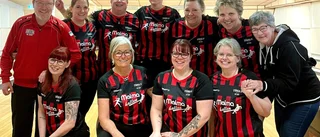 Stångas erfarenhet ska ta klubben tillbaka till elitserien