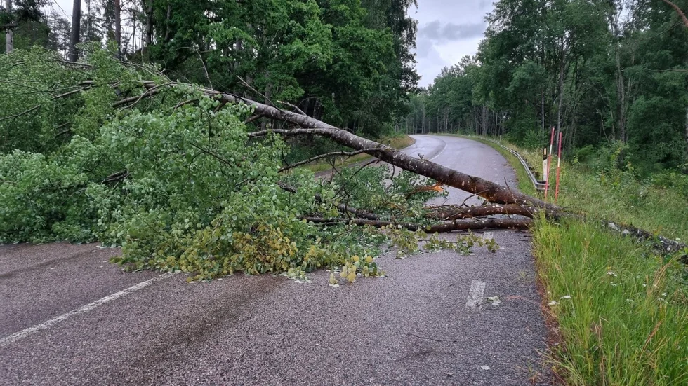 Vägen är totalt oframkomlig.