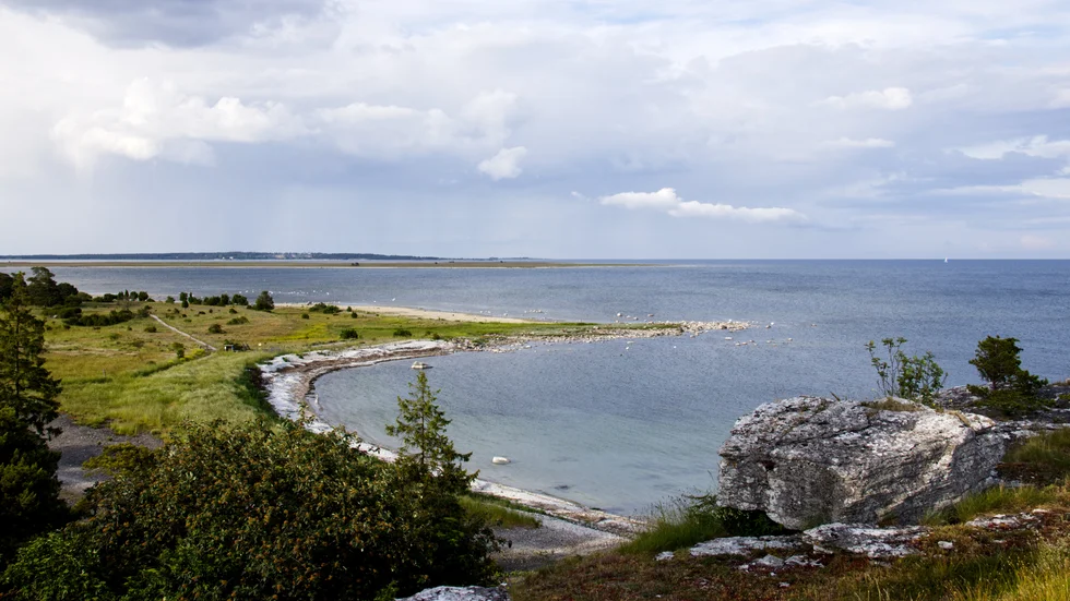 Kvarlevorna hittades på Skenholmen. 