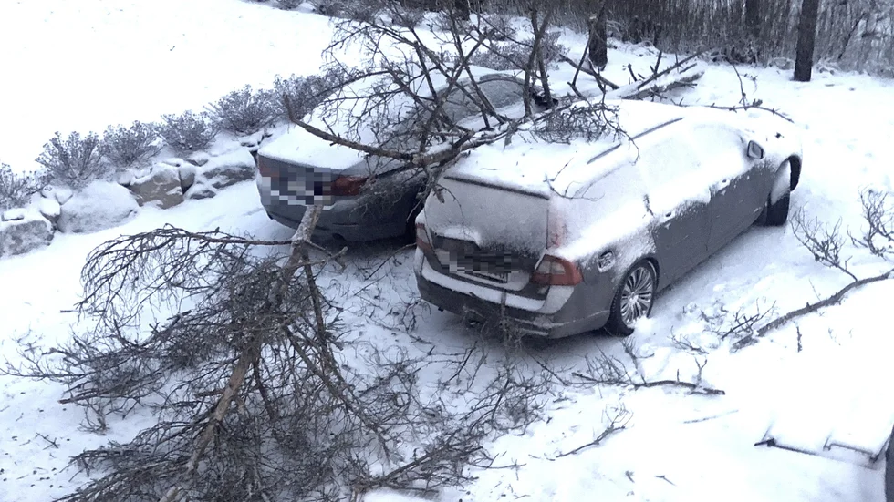 I Funbotrakten föll ett träd över två parkerade bilar. På flera andra håll har träd blåst ned över vägar under natten mot söndagen. 
