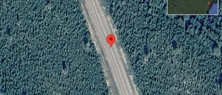 Varnar för älg på vägen på E4