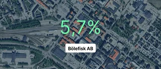 Bölefisk AB: Här är årsredovisningen för 2023