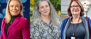 Vem bryr sig om EU? Tre lokala kandidater: Därför ska du rösta!