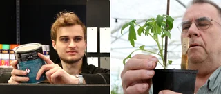 Kylan ställer till det – här är proffsens tips