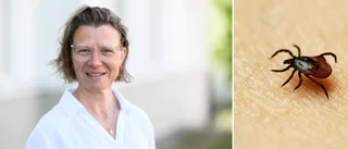 Så skyddar du dig mot TBE     