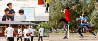 Här är världssporten som rotar sig i Skellefteå: ”Enorm respons”