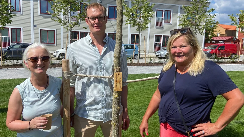 Rose-Marie Byström, projektledare park, Krister Pihl, kommunens projektledare för Munkhagstorget, och Christine Blomqvist-Gyllby, teknik- och fritidsnämndens ordförande, visar upp det sibiriska korkträdet.