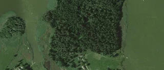 Nya ägare till lantbruksfastighet i Östhammar - prislappen: 5 825 000 kronor