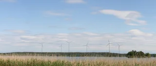 290 meter höga vindkraftverk – nej, inte här!
