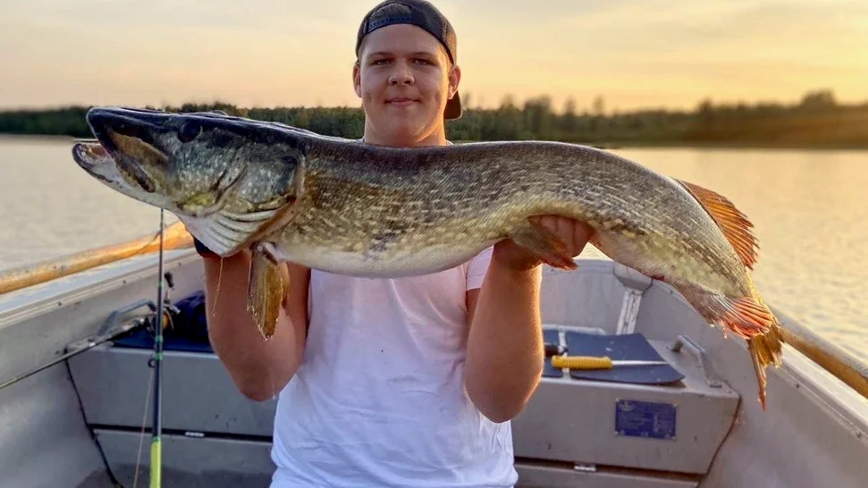 Leo Bauer Soovik med drömgäddan på 11 kilo.