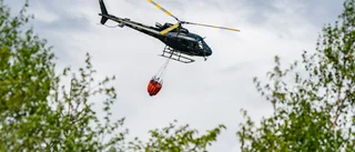 Skogsbrand norr om Gnarp inringad