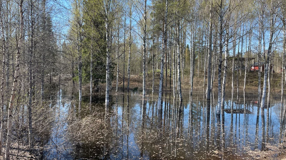 En översvämning har inträffat och väg 729 är avstängd. Bilden visar inte den aktuella sträckan utan är en arkivbild.