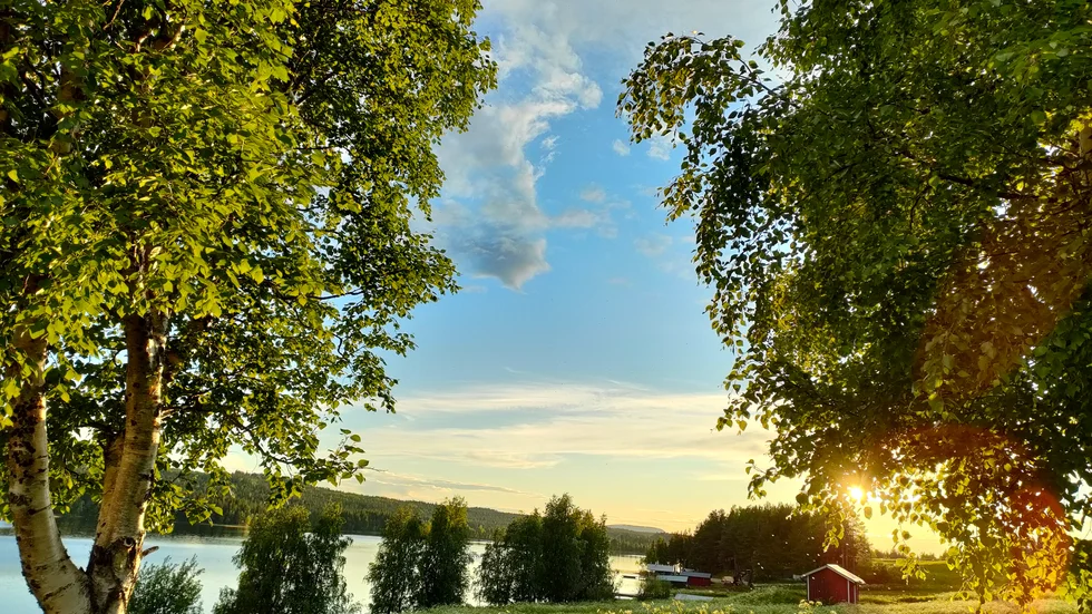 Strålande sommar. Solveig Oinas njöt i den vackra sommarkvällen i Saittarova och passade på att ta denna bild. 
Vill du se din bild i tidningen? Skicka in den till familj@nsd.se och berätta lite om bilden.
