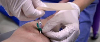 Fler testas för fågelinfluensa