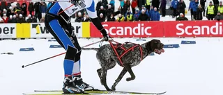 Missen kostade medaljchansen