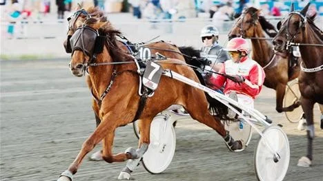 Bra lördag. När Bodentravet startade upp lördagstravet fick Jan Norberg en trevlig dag. Kusken vann med sin egen häst, Kolnes Kasper, och med Petri Salmelas Mareld (bilden).