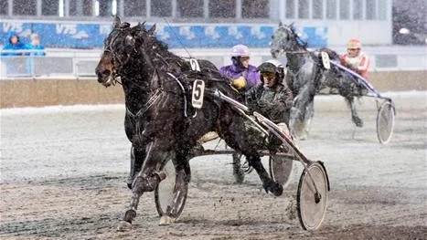 Ännu bättre. Innan gårdagen hade Brisco Boko vunnit 12 av 18 lopp - nu ser statistiken ännu bättre ut.