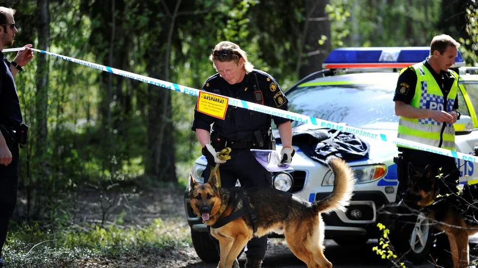 Foto: Petra Isaksson