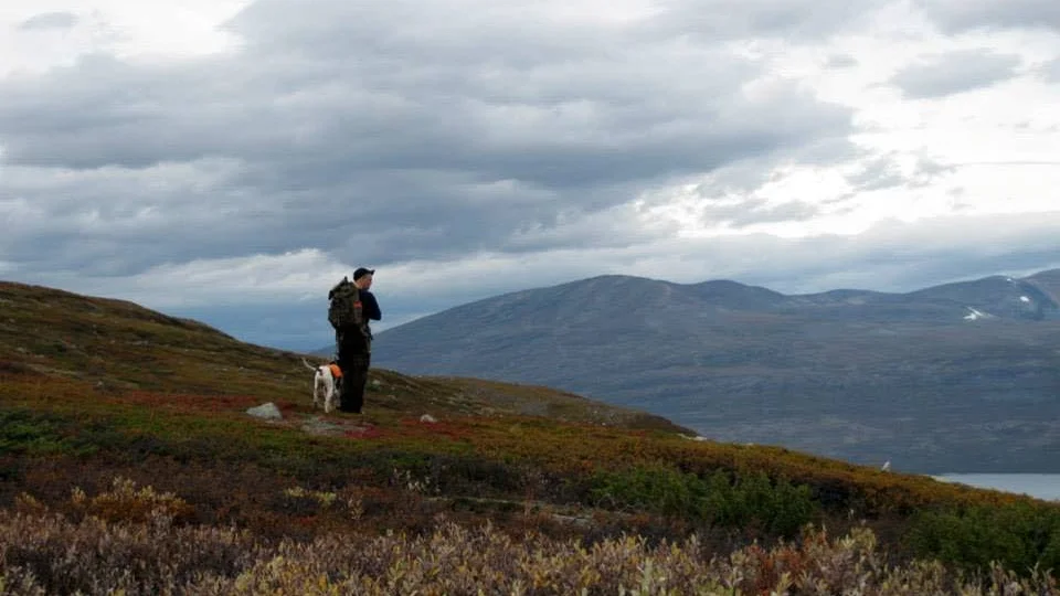 Det är dålig tillgång på ripa i fjällen. På torsdag börjar jakten. (Arkivbild)