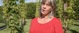 Katrineholmsförfattare skriver om myror i ny bilderbok: "Handlar om mitt första biologiska experiment"
