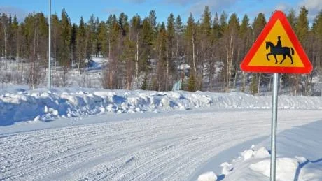VARNING. En skylt som varnar bilister för hästekipage vid ridhusområdet är nu på plats.