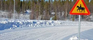 Hästar och ryttare får säkrare ridmiljö