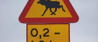 Skyltning för älg efterfrågas