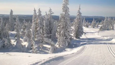Nu är våren här, så ta fram längdskidorna och far ut och njut i den värmande vårsolen.