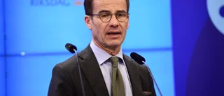 De blåbruna kommer avslöja sin inkompetens på kort tid