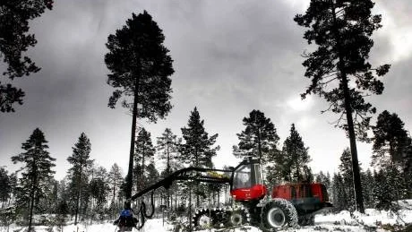 Foto: ANDREAS WÄLITALO