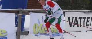 Silverskrällen