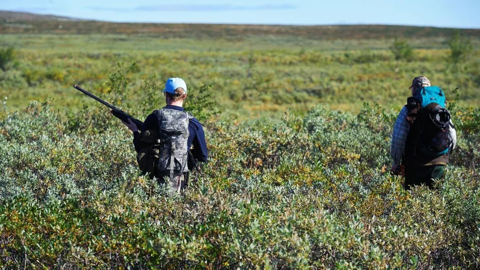 Småviltsjakt. Årets jägare har sämre förutsättningar att stöta på ripa jämfört med i fjol