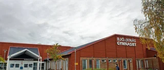 Stor översyn av Bodens skolor och förskolor