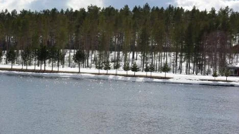 Nu kan vi glädjas åt flera vårtecken. Här är ett, solglitter i vatten.