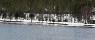 Dagens väderbild