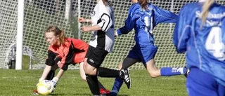 Flygande start för Arvidsjaur