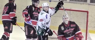 Rosvik avslutade snyggt