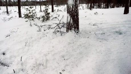 TRAGISK OLYCKA. 22-årige William Borg hittades död vid sin skoter på en skoterled i Seskarö. Skoterleden svängde vid olycksplatsen och polisen misstänker att 22-åringen slungats av skotern in i trädet.