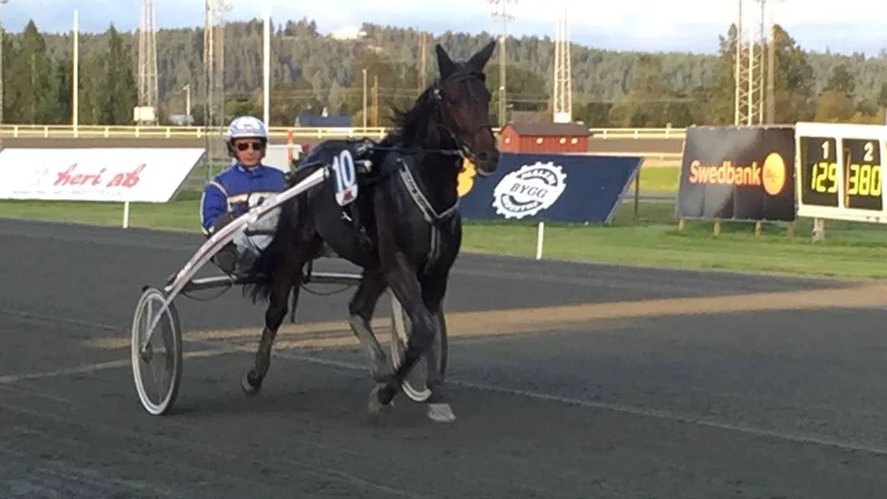 IMPONERADE. Älvsbyägde Makethemark deltar i ett storlopp.