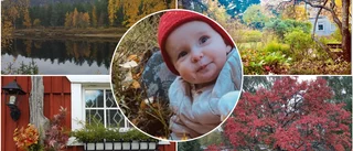 Hösten en favoritårstid för många