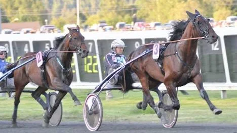 Norske Yarrah Boko tog hem segerchecken på 750 000 kronor i Norrbottens Stora Pris.
