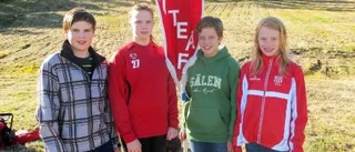 Piteå IF starkt i paltkampen