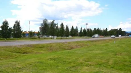 SVÅRT ATT SYNAS. Björkarna längs Kraftvägen i Haparanda skymmer handlarna, som är irriterade över att kommunen inte bryr sig.