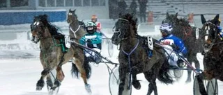 Skrällseger i Boden