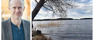 9000 yngel ska rädda ålen • Därför har ålen i Storsjön större chans att klara sig