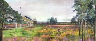 Vision för ”cirkunära” samhällen i norra Sverige