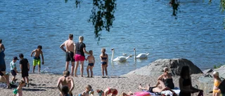 Allmänhetens tillgång till våra stränder ifrågasätts